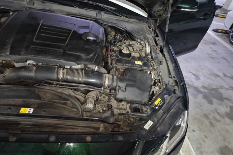 Used Jaguar XFL 2021 XFL 2.0T P250 All-Wheel-Drive Shimmering Black Sport Edition Engine Bay Left