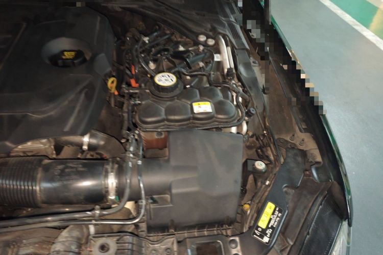 Used Jaguar XFL 2021 XFL 2.0T P300 All-Wheel-Drive Flagship Sport Edition Engine Bay Left