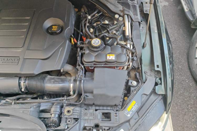 Used Jaguar XFL 2021 XFL 2.0T P250 Two-Wheel-Drive Luxury Deluxe Edition Engine Bay Left