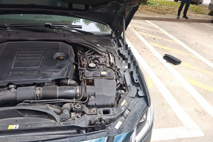 Used Jaguar XFL 2021 XFL 2.0T P250 Two-Wheel-Drive Elite Sport Edition Engine Bay Left