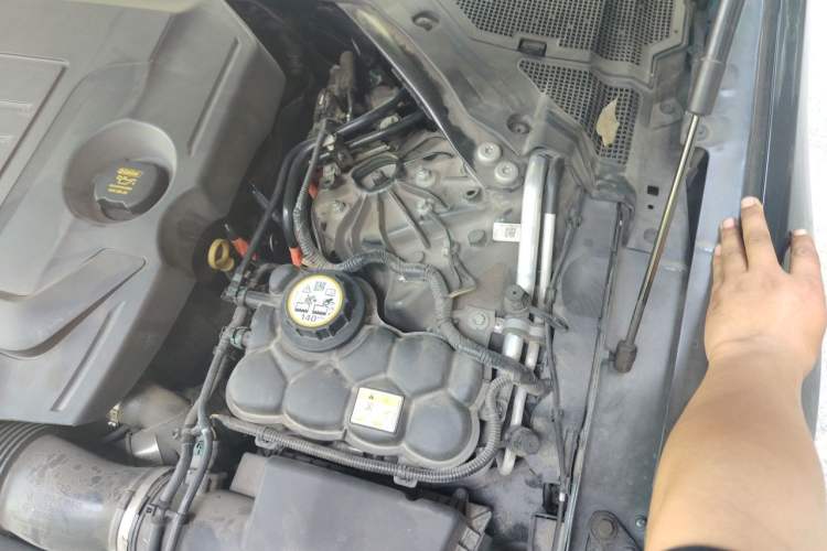 Used Jaguar XFL 2021 XFL 2.0T P250 Two-Wheel-Drive Luxury Deluxe Edition Engine Bay Left