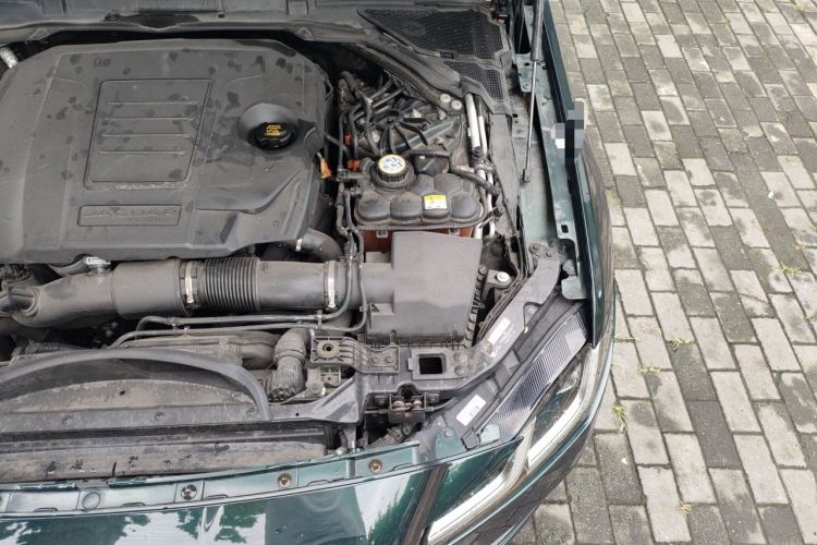 Used Jaguar XFL 2021 XFL 2.0T P200 Two-Wheel-Drive Elite Luxury Edition Engine Bay Left