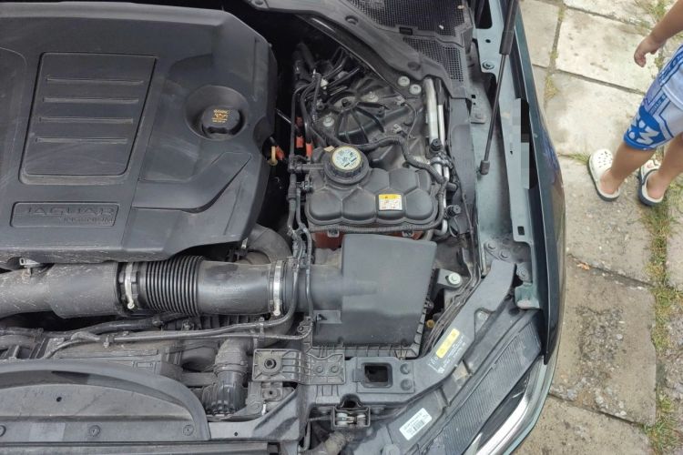 Used Jaguar XFL 2021 XFL 2.0T P250 Two-Wheel-Drive Elite Sport Edition Engine Bay Left