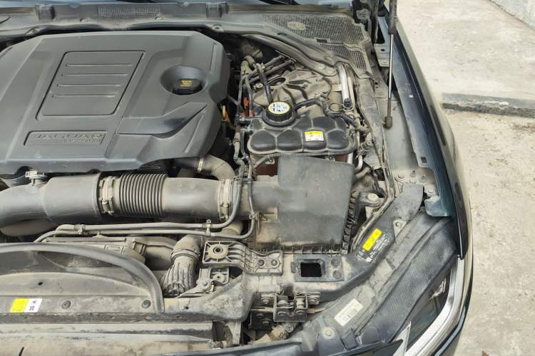 Used Jaguar XFL 2021 XFL 2.0T P250 Two-Wheel-Drive Elite Sport Edition Engine Bay Left