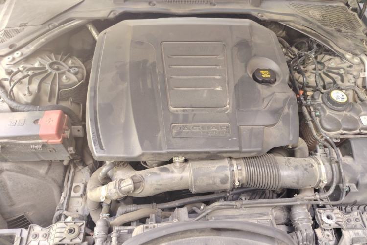 Used Jaguar XFL 2021 XFL 2.0T P250 Two-Wheel-Drive Luxury Deluxe Edition Engine Bay