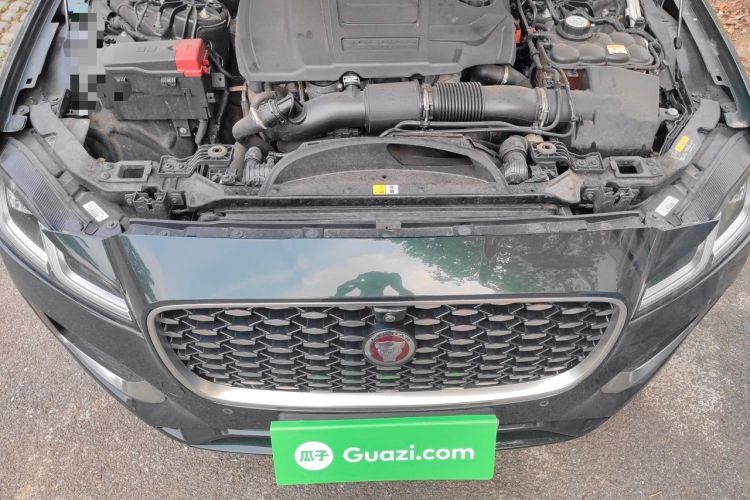 Used Jaguar XFL 2021 XFL 2.0T P250 Two-Wheel-Drive Luxury Deluxe Edition Engine Bay