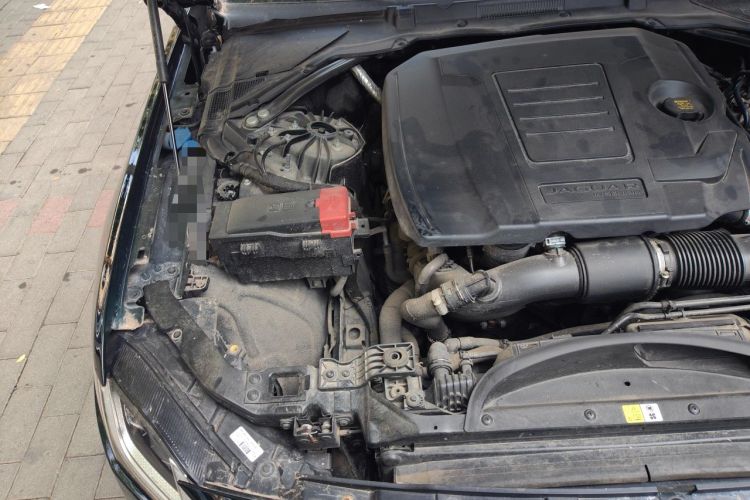 Used Jaguar XFL 2021 XFL 2.0T P250 Two-Wheel-Drive Luxury Deluxe Edition Engine Bay Right