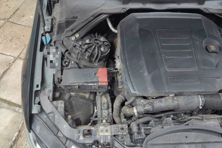 Used Jaguar XFL 2021 XFL 2.0T P250 Two-Wheel-Drive Elite Sport Edition Engine Bay Right