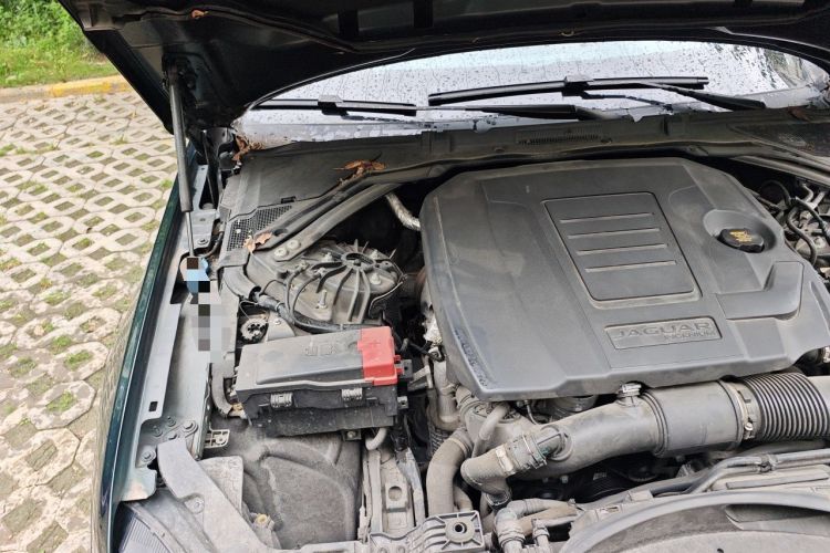 Used Jaguar XFL 2021 XFL 2.0T P250 Two-Wheel-Drive Elite Sport Edition Engine Bay Right