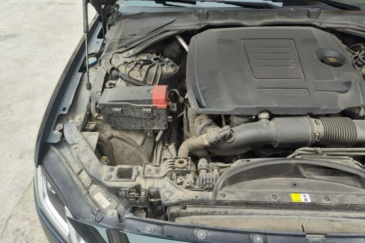 Used Jaguar XFL 2021 XFL 2.0T P250 Two-Wheel-Drive Elite Sport Edition Engine Bay Right