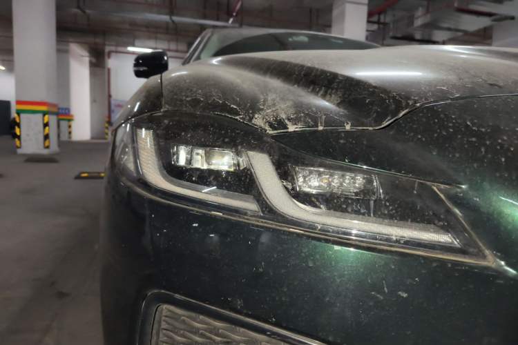 Used Jaguar XFL 2021 XFL 2.0T P250 Two-Wheel-Drive Luxury Deluxe Edition Right Front Headlight