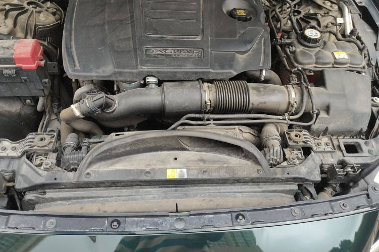 Used Jaguar XFL 2021 XFL 2.0T P250 Two-Wheel-Drive Elite Sport Edition Engine Bay