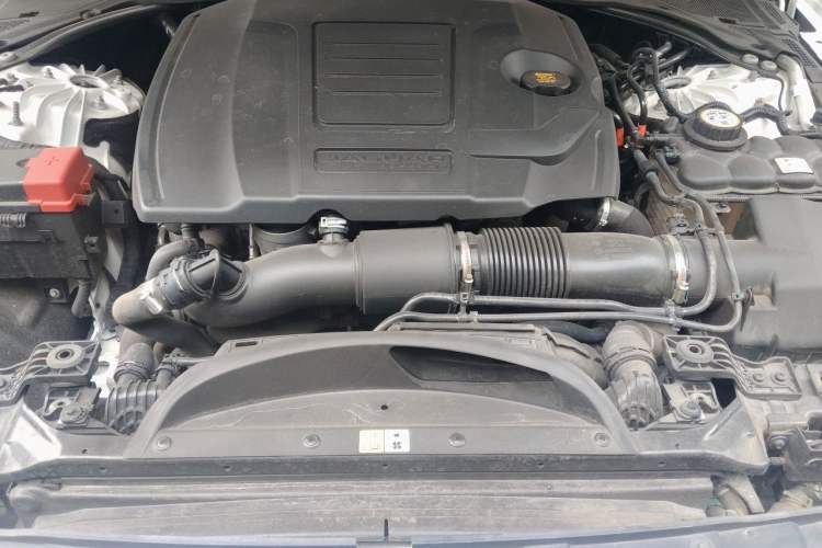 Used Jaguar XFL 2021 XFL 2.0T P250 Two-Wheel-Drive Elite Sport Edition Engine Bay