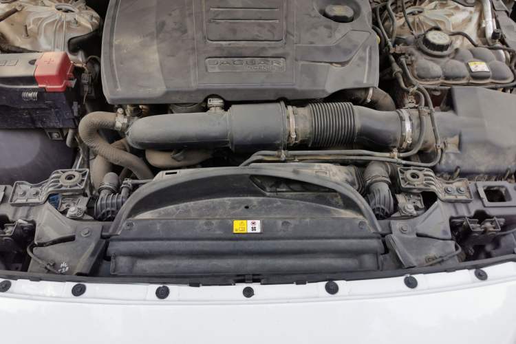 Used Jaguar XFL 2021 XFL 2.0T P250 Two-Wheel-Drive Luxury Deluxe Edition Engine Bay