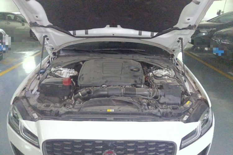 Used Jaguar XFL 2021 XFL 2.0T P250 Two-Wheel-Drive Luxury Deluxe Edition Engine Bay