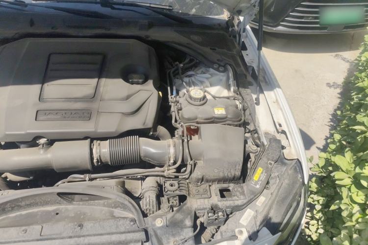 Used Jaguar XFL 2021 XFL 2.0T P250 Two-Wheel-Drive Luxury Deluxe Edition Engine Bay Left