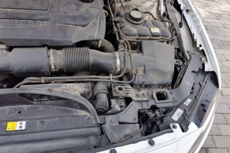 Used Jaguar XFL 2021 XFL 2.0T P250 Two-Wheel-Drive Luxury Deluxe Edition Engine Bay Left