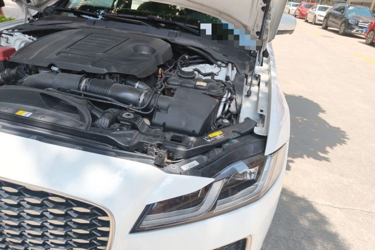 Used Jaguar XFL 2021 XFL 2.0T P200 Two-Wheel-Drive Elite Luxury Edition Engine Bay Left