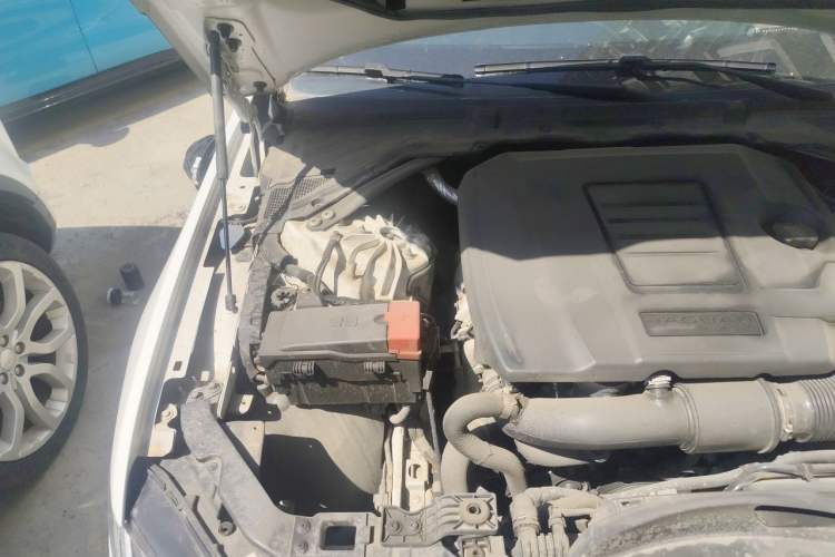 Used Jaguar XFL 2021 XFL 2.0T P250 Two-Wheel-Drive Luxury Deluxe Edition Engine Bay Right