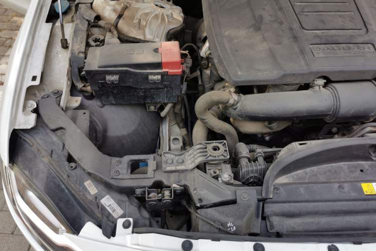 Used Jaguar XFL 2021 XFL 2.0T P250 Two-Wheel-Drive Luxury Deluxe Edition Engine Bay Right