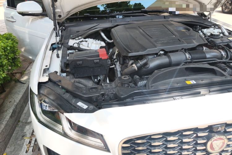 Used Jaguar XFL 2021 XFL 2.0T P200 Two-Wheel-Drive Elite Luxury Edition Engine Bay Right