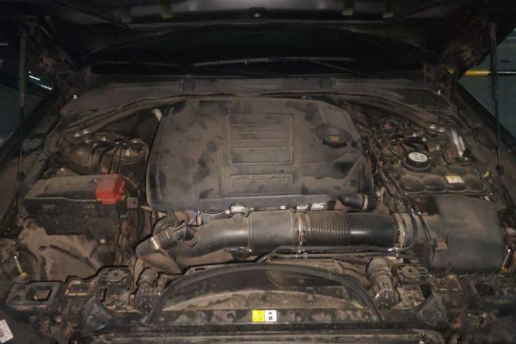 Used Jaguar XFL 2022 XFL 2.0T P200 Two-Wheel-Drive Elite Luxury Edition Engine Bay
