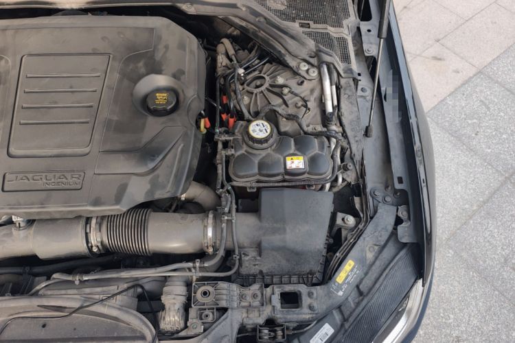 Used Jaguar XFL 2022 XFL 2.0T P250 Two-Wheel-Drive Elite Sport Edition Engine Bay Left