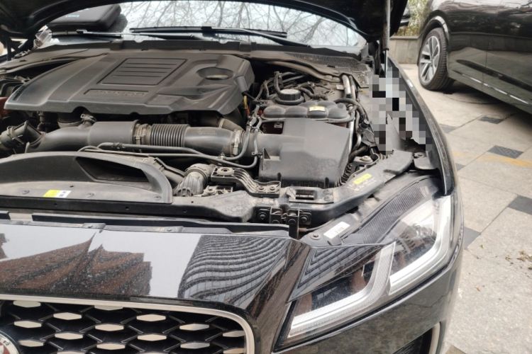 Used Jaguar XFL 2022 XFL 2.0T P250 Two-Wheel-Drive Prestige Luxury Edition Engine Bay Left