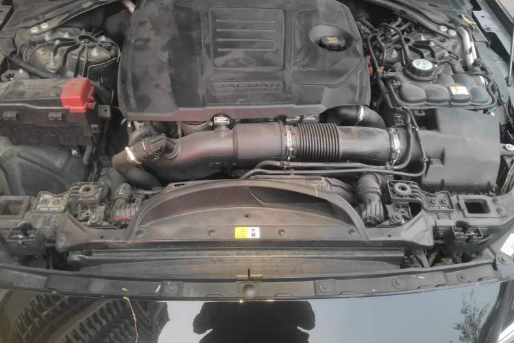 Used Jaguar XFL 2022 XFL 2.0T P250 Two-Wheel-Drive Elite Sport Edition Engine Bay
