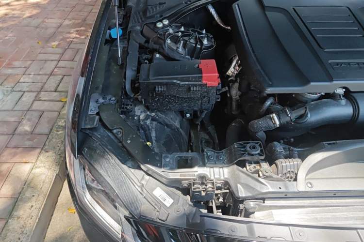 Used Jaguar XFL 2022 XFL 2.0T P250 Two-Wheel-Drive Elite Sport Edition Engine Bay Right