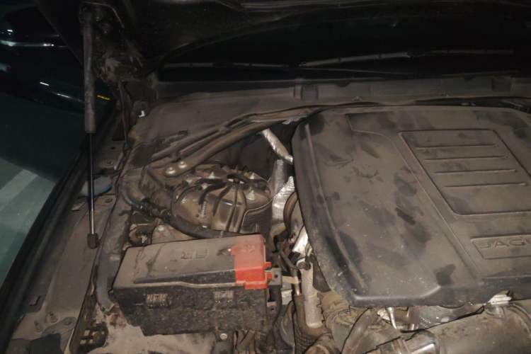Used Jaguar XFL 2022 XFL 2.0T P200 Two-Wheel-Drive Elite Luxury Edition Engine Bay Right