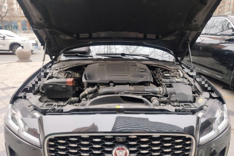 Used Jaguar XFL 2022 XFL 2.0T P250 Two-Wheel-Drive Prestige Luxury Edition Engine Bay