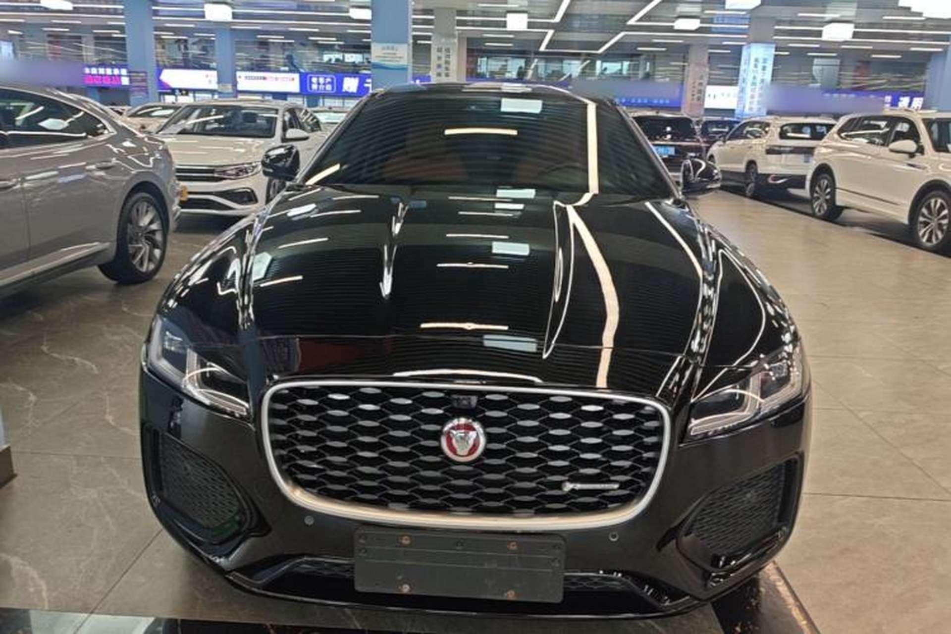 Used Jaguar XFL 2022 XFL 2.0T P250 Two-Wheel-Drive Elite Sport Edition Front