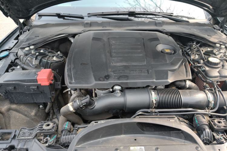 Used Jaguar XFL 2022 XFL 2.0T P200 Two-Wheel-Drive Elite Luxury Edition Engine Bay