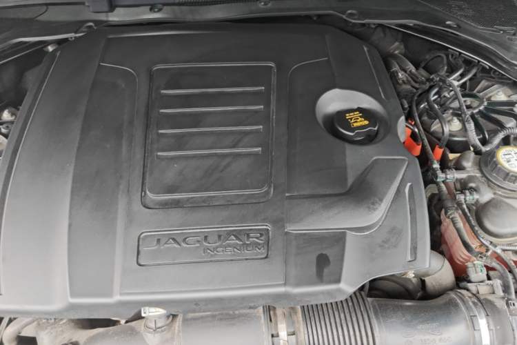 Used Jaguar XFL 2022 XFL 2.0T P250 Two-Wheel-Drive Elite Sport Edition Engine Bay