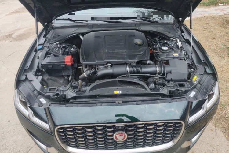 Used Jaguar XFL 2022 XFL 2.0T P250 Two-Wheel-Drive Prestige Luxury Edition Engine Bay