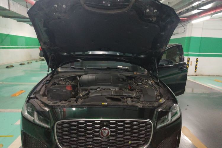 Used Jaguar XFL 2022 XFL 2.0T P250 Two-Wheel-Drive Elite Sport Edition Engine Bay
