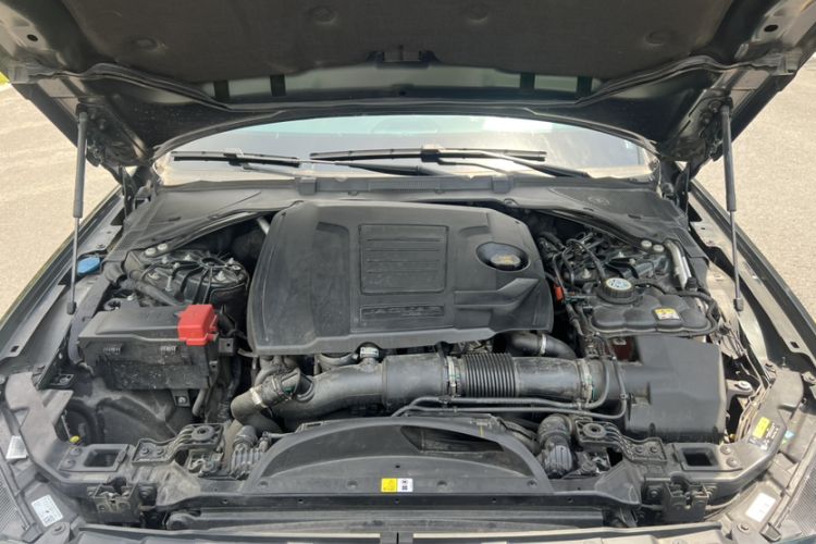 Used Jaguar XFL 2022 XFL 2.0T P250 Two-Wheel-Drive Elite Sport Edition Engine Bay