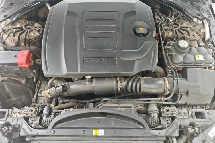 Used Jaguar XFL 2022 XFL 2.0T P250 Two-Wheel-Drive Elite Sport Edition Engine Bay