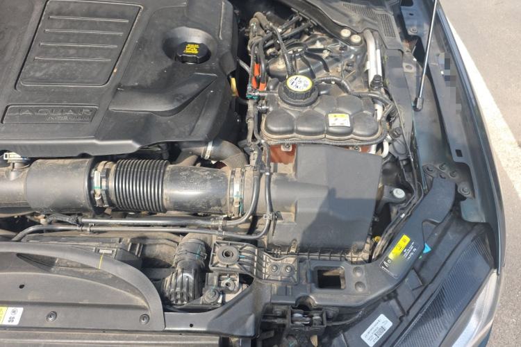 Used Jaguar XFL 2022 XFL 2.0T P250 Two-Wheel-Drive Elite Sport Edition Engine Bay Left