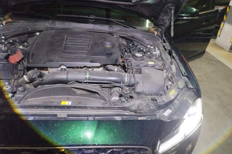 Used Jaguar XFL 2022 XFL 2.0T P250 Two-Wheel-Drive Elite Sport Edition Engine Bay Left