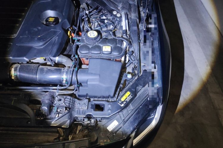 Used Jaguar XFL 2022 XFL 2.0T P250 Two-Wheel-Drive Elite Sport Edition Engine Bay Left