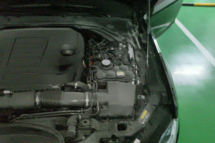 Used Jaguar XFL 2022 XFL 2.0T P250 Two-Wheel-Drive Prestige Luxury Edition Engine Bay Left