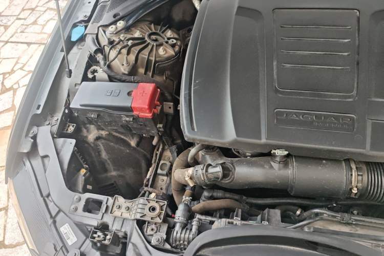 Used Jaguar XFL 2022 XFL 2.0T P250 Two-Wheel-Drive Elite Sport Edition Engine Bay Right