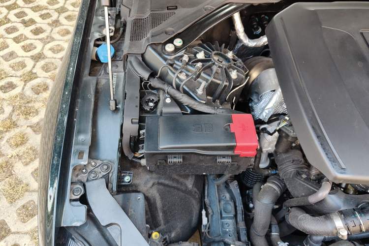 Used Jaguar XFL 2022 XFL 2.0T P200 Two-Wheel-Drive Elite Luxury Edition Engine Bay Right
