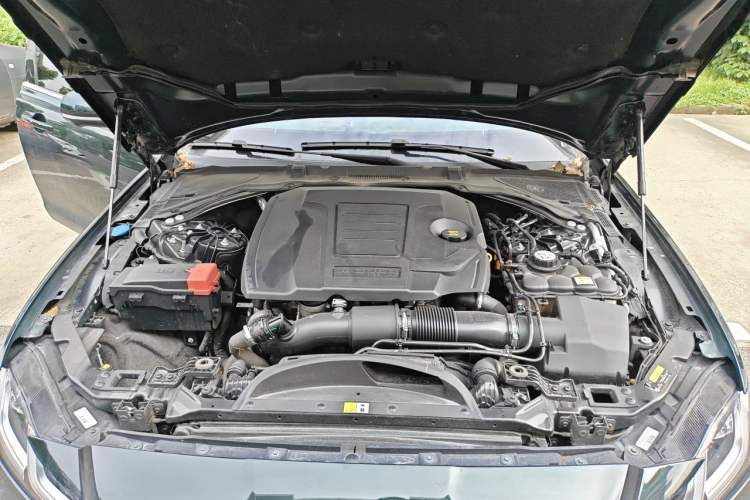 Used Jaguar XFL 2022 XFL 2.0T P250 Two-Wheel-Drive Elite Sport Edition Engine Bay