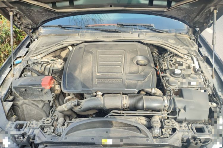 Used Jaguar XFL 2022 XFL 2.0T P250 Two-Wheel-Drive Prestige Luxury Edition Engine Bay
