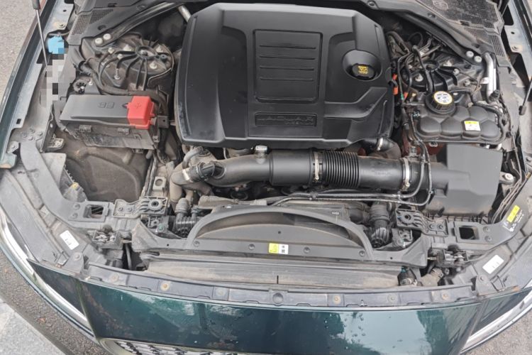 Used Jaguar XFL 2022 XFL 2.0T P250 Two-Wheel-Drive Prestige Luxury Edition Engine Bay