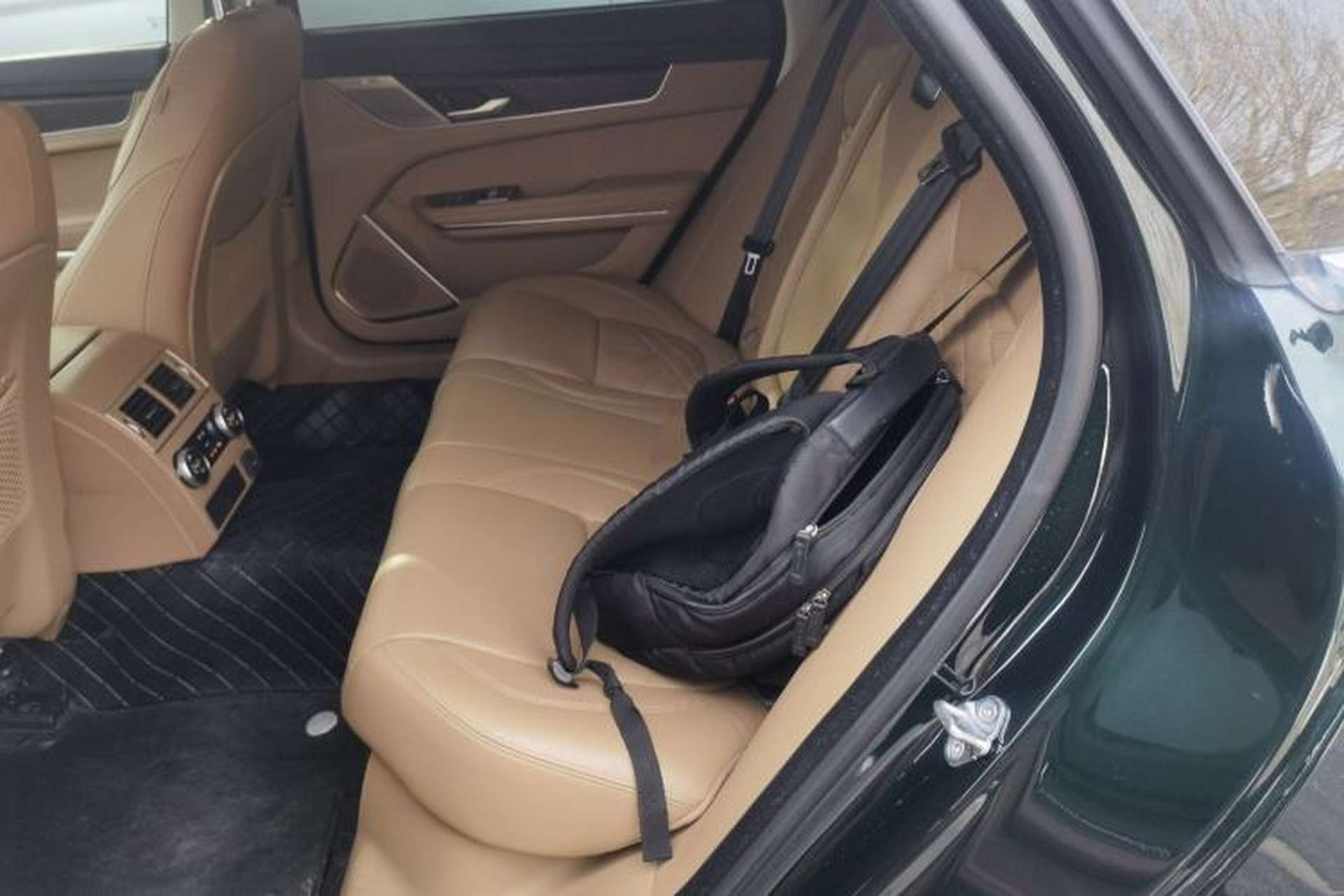 Used Jaguar XFL 2022 XFL 2.0T P250 Two-Wheel-Drive Prestige Luxury Edition Left Rear Seat