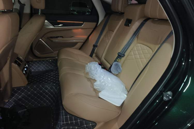 Used Jaguar XFL 2022 XFL 2.0T P250 Two-Wheel-Drive Prestige Luxury Edition Left Rear Seat